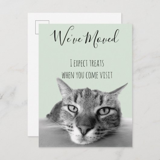 Catからの新しいアドレスのおもしろい発表 案内ポストカード (正面/裏面)