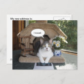 Catが新おもしろいしいアドレスを移動 案内ポストカード (正面/裏面)