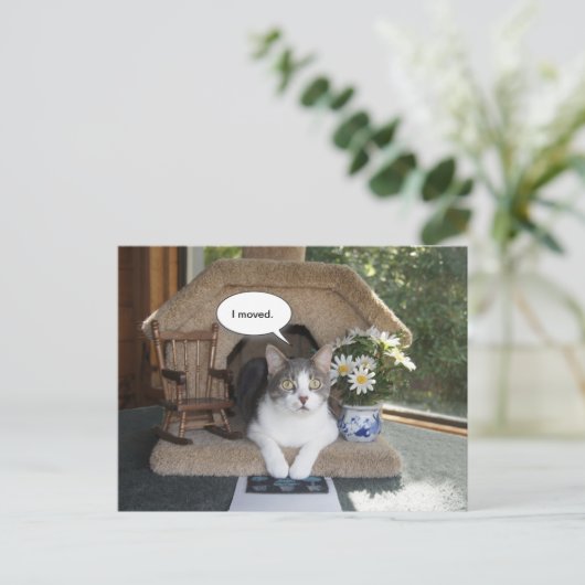 Catが新おもしろいしいアドレスを移動 案内ポストカード (スタンド正面)