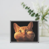 CATのオプス ポストカード (スタンド正面)