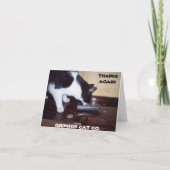 CATのサンキューカード サンキューカード (裏面)