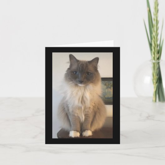 CATの定義 カード (正面)