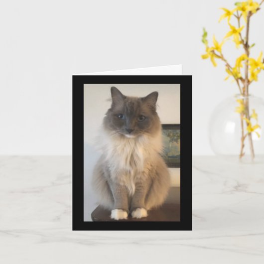 CATの定義 カード (黄色い花)