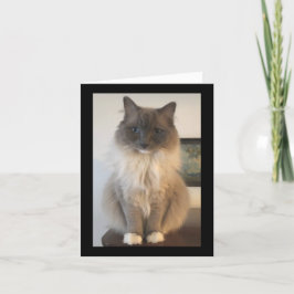 CATの定義 カード