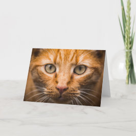 Catクローズアップのカスタマイズ可能なグリーティングカード カード