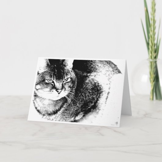 Catグリーティングカード カード (正面)