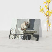 Catグリーティングカード カード (黄色い花)