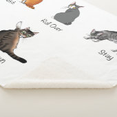 Catコマンド シェルパブランケット (3/4)