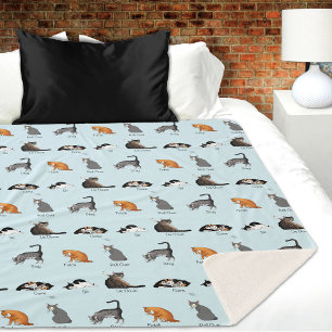 Catコマンド シェルパブランケット