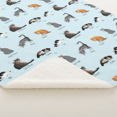 Catコマンド シェルパブランケット (3/4)