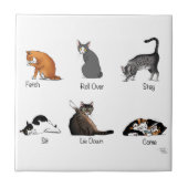 Catコマンド タイル (正面)