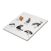 Catコマンド タイル (側面)