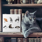 Catコマンド タイル