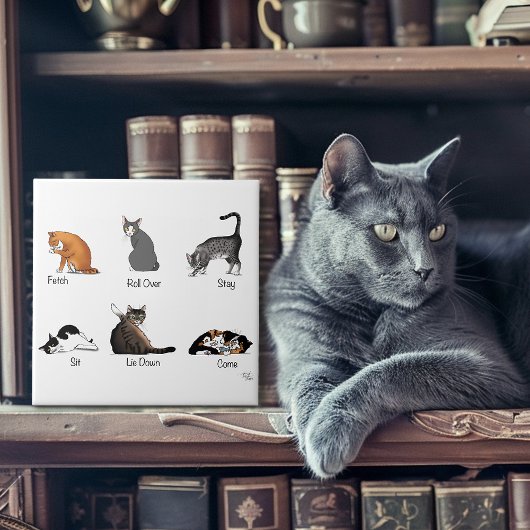 Catコマンド タイル