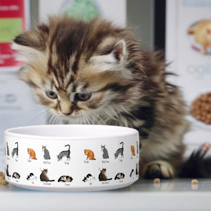 Catコマンド ボウル