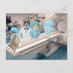 CATスキおもしろいャンイメージ ポストカード