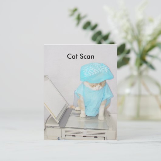 Catスキャン ポストカード (スタンド正面)