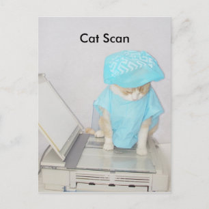 Catスキャン ポストカード