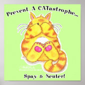 CATストロフィ ポスター (正面)