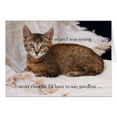 Catフォト悔やみや弔慰グリーティングカード (正面横)
