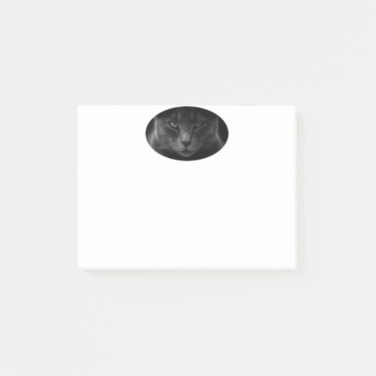 Catポストイットノート ポストイット (正面)