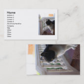 Cat名刺 名刺 (正面/裏面)