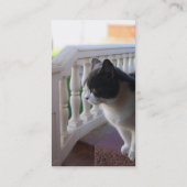 Cat名刺 名刺 (裏面)