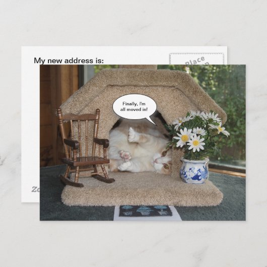 Cat新おもしろいしいアドレスの移動 案内ポストカード (正面/裏面)