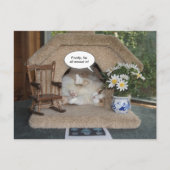 Cat新おもしろいしいアドレスの移動 案内ポストカード (正面)