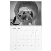 Cat昼寝2021カレンダー カレンダー (1月 2027)