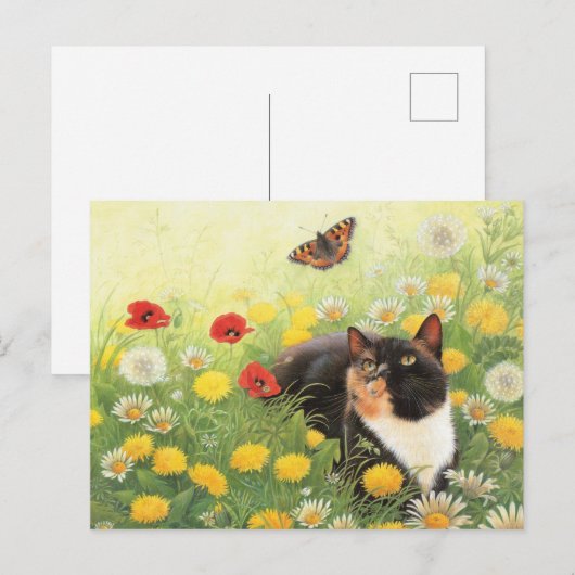 CAT絵を描はがき ポストカード (正面/裏面)