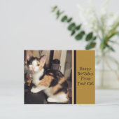 Cat誕生日グリーティングポストカードから ポストカード (スタンド正面)