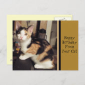Cat誕生日グリーティングポストカードから ポストカード (正面/裏面)