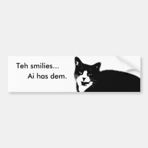 Cat2 バンパーステッカー