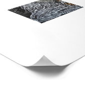 Cat3 – 光爆弾 ポスター (角)