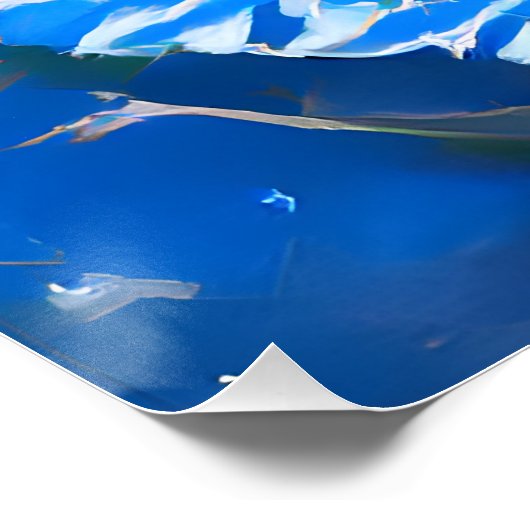 Cat6 - 太陽の eclipse ポスター (コーナー)