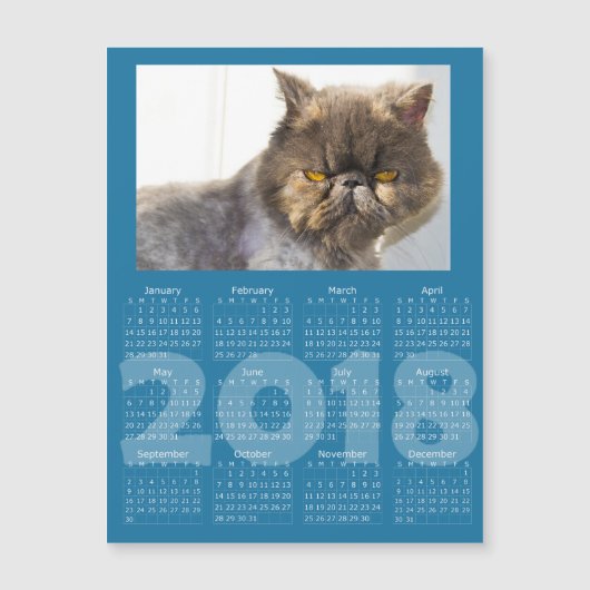 Cat おもしろい Blue 2018カレンダー磁気カード (正面)