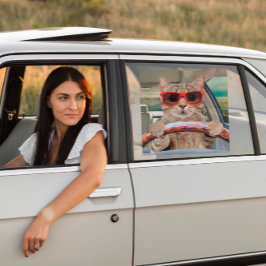 Cat おもしろい Driving Car Shade 12" x 12" ウィンドウサイン