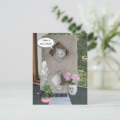 Cat/おもしろいI've Move/New Address 案内ポストカード (スタンド正面)