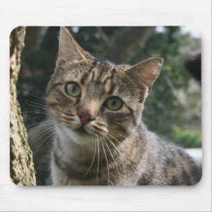 CAT マウスパッド