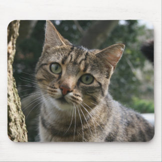 CAT マウスパッド