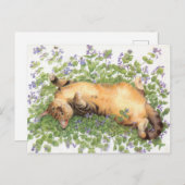 CAT 絵画の ポストカード (正面/裏面)