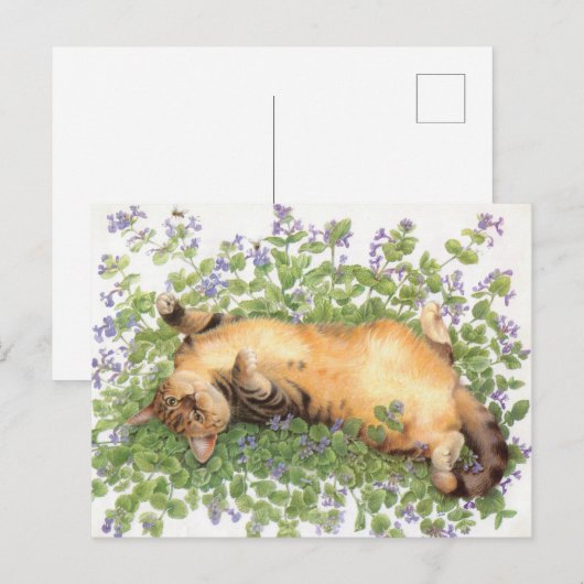 CAT 絵画の ポストカード (正面/裏面)