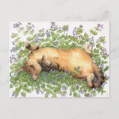 CAT 絵画の ポストカード (正面)