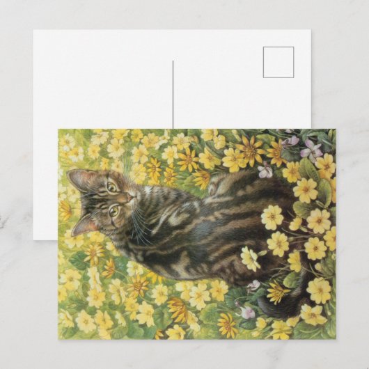 CAT 絵画の ポストカード (正面/裏面)