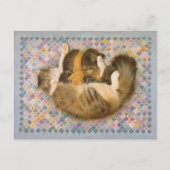 CAT 絵画の ポストカード (正面)