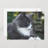 Cat 考え's of Youカードまたは大事な行事 ポストカード (正面/裏面)