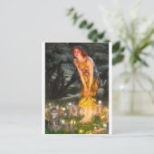 CAT (虎猫1) - MidEve ポストカード (スタンド正面)