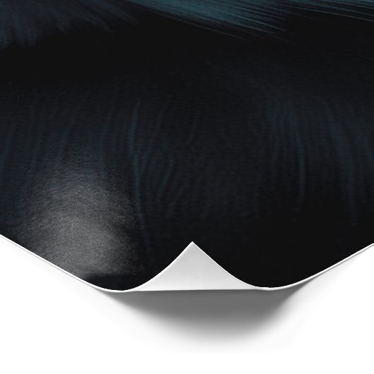 Cat -03 ポスター (コーナー)