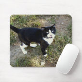 Cat 10、マウスパッド マウスパッド (マウス)